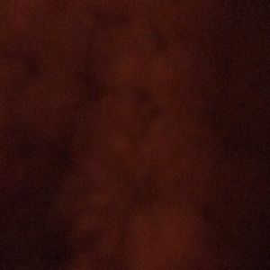 Meet your Posher, Ethan